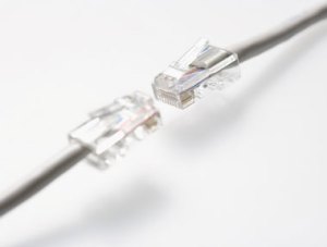 Two ethernet cords, Fishbowl Blog